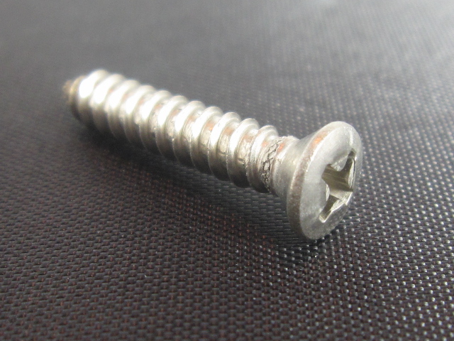 (image for) OVAL PHILLIPS SCREW SS